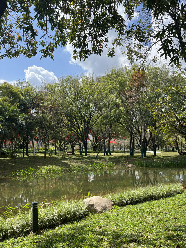 新安公園