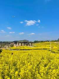 探索成都之美：成都雙流廣都博物館春日賞花之旅