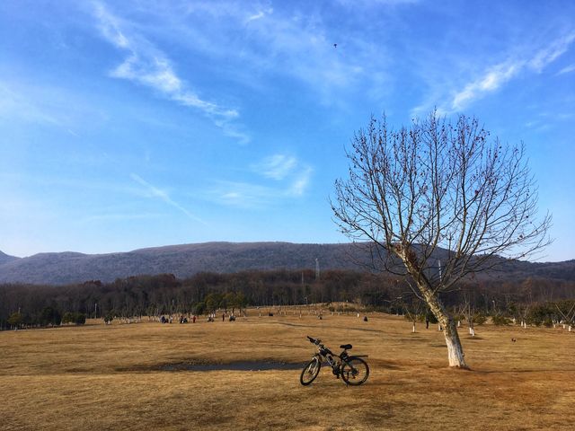 南京春日騎行—金色鍾山