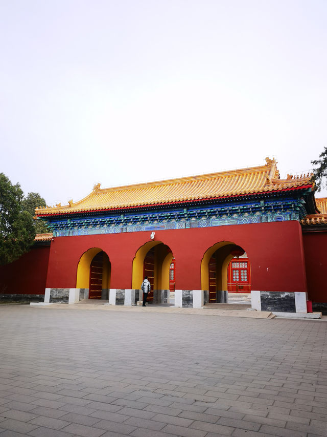 春天賞花必去公園-中山公園