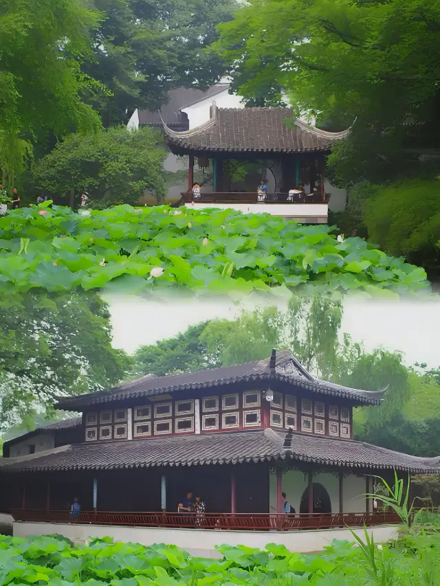Traveling alone in Suzhou, wandering through ancient streets and gardens