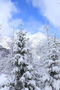 旅行 || 陽春三月在九寨溝悅榕莊遇見雪景裡的浪漫