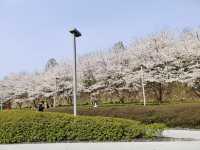 除了春天，禁止入內