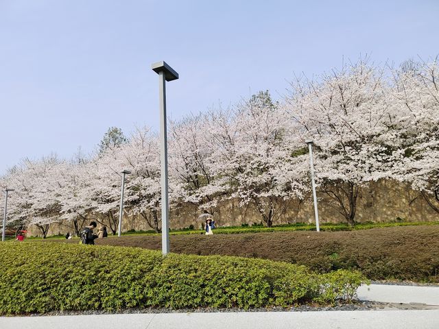 除了春天，禁止入內