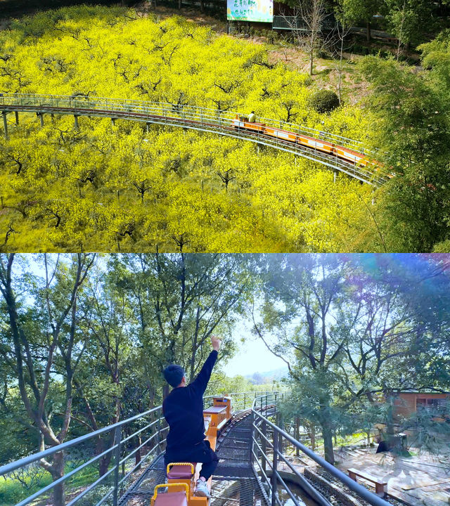 親子遛娃｜春日踏青坐上漫畫小火車，開往彩雲之上