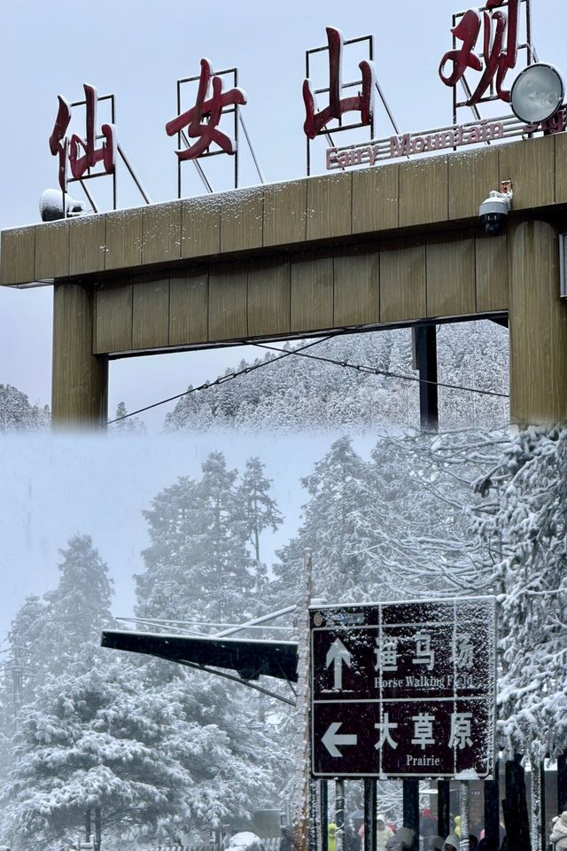 重慶武隆仙女山2024玩雪最全攻略