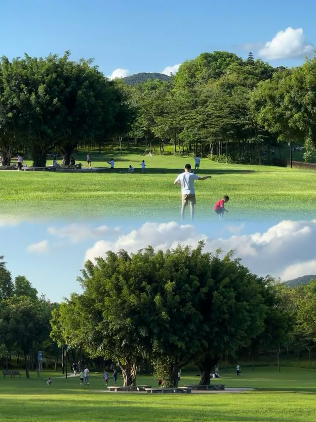 我宣布這是深圳公園天花板