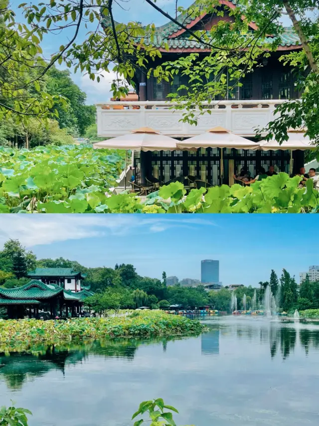 In Chengdu!!! The only park I want to visit and photograph countless times!