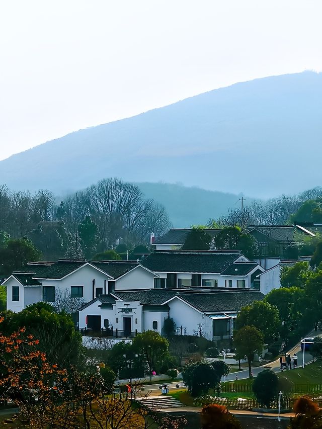 象山湖春光