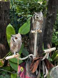 探索自然之美——曼谷野生動物世界的奇妙旅程