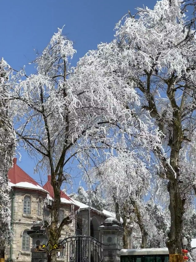 打卡雪後的廬山真面目！