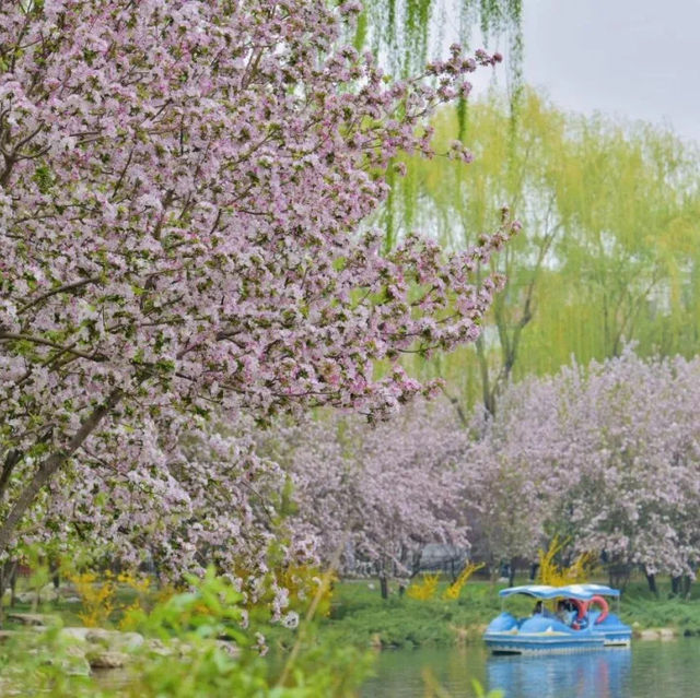 Taoranting Park’s beauty 🌸🌳 