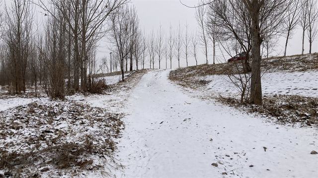 德州鄉間雪景·沿著漳衛新河·從德城到吳橋