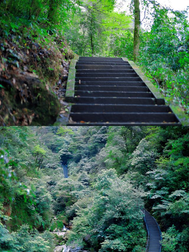四川—峨眉山三刷全攻略！