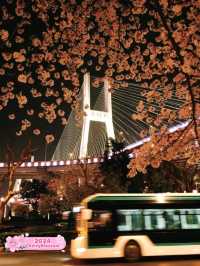 Nanpu Bridge is a Must Visit Place ❤️