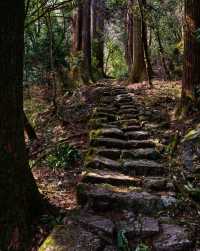 穿越1500年，徒步進東晉