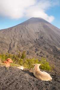 安提瓜火山徒步攻略