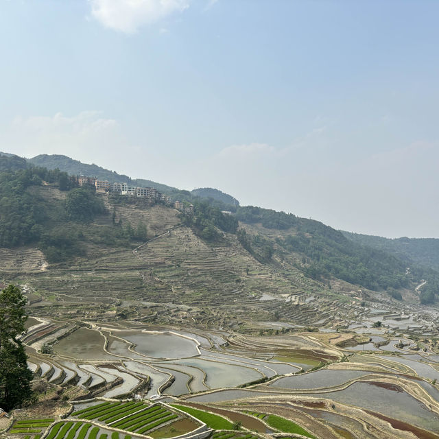 Duoyishu’s spectacular terraced rice fields
