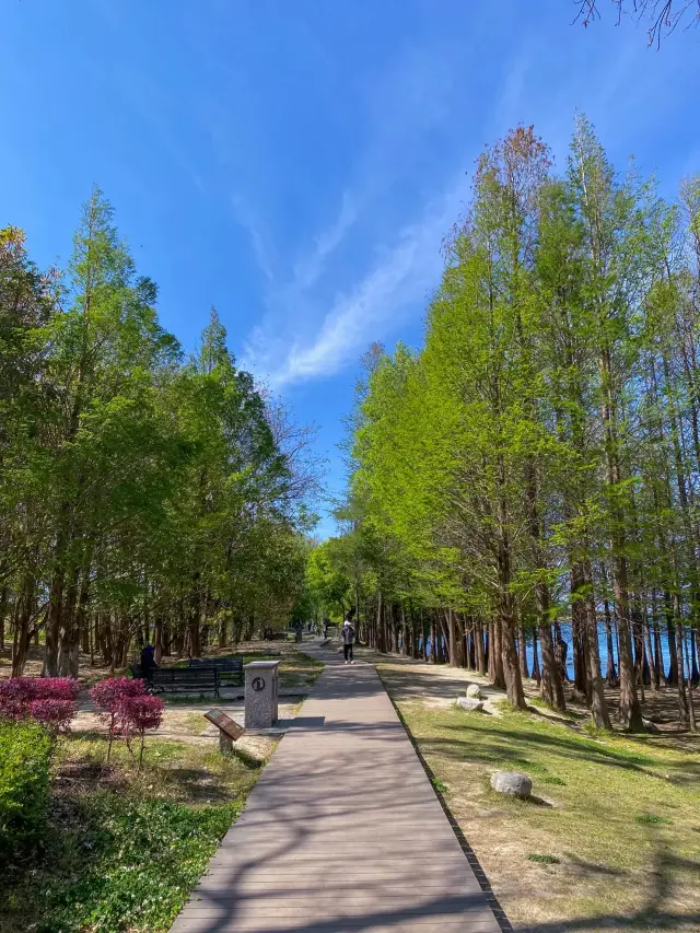 Erhai Lake