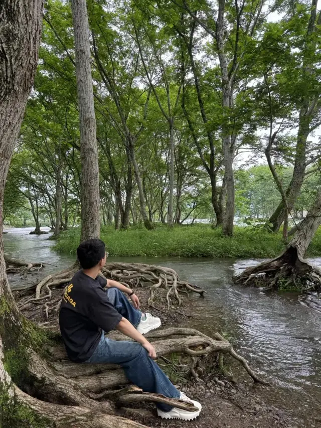 The beautiful scenery of Hongcun