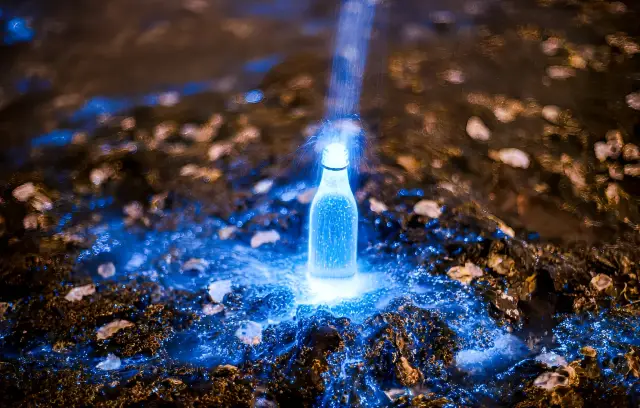 เที่ยวตามหาแสงสว่างที่ไต้หลิว