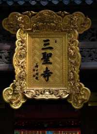 成都|曲徑通幽•林深見鹿