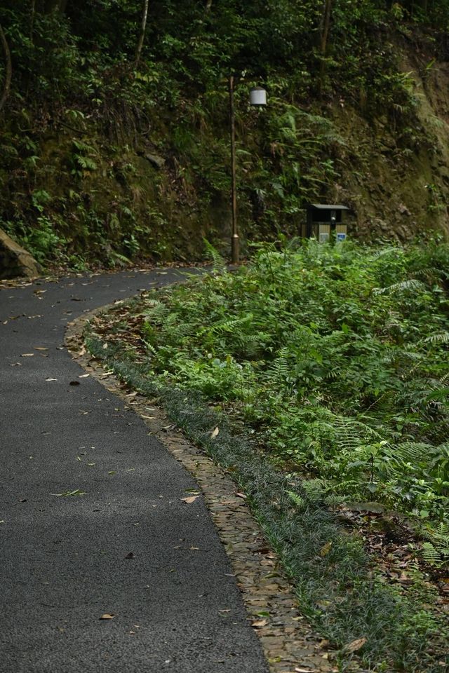 漳州平和｜N座寺N座山，靈通山遊記（附攻略||