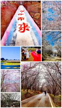 繁花雲貴丨大結局-超級感受