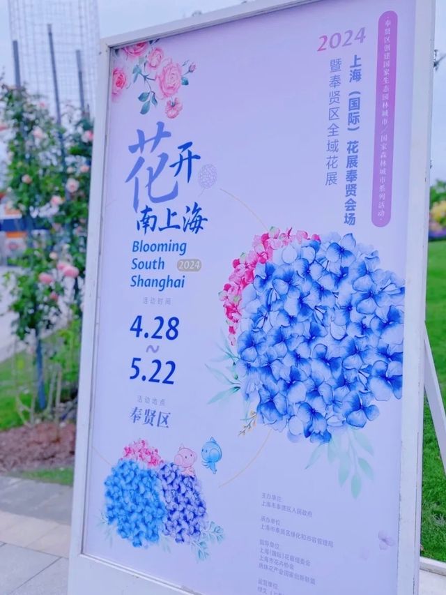 春天玩點花的|奉賢的花展→花開南上海