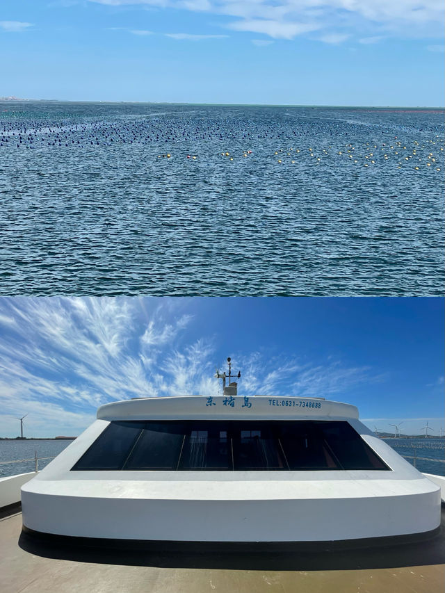 夏天去榮成海洋牧場坐船出海｜東楮島海洋牧場