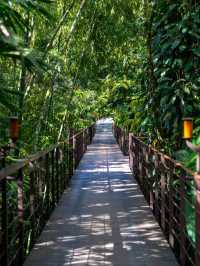 🌴🛏️ La Fortuna's Luxe Hideaway: Nayara Springs 🌺