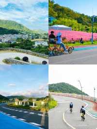 東海半邊山團建｜有山有海有花海，看海天一色