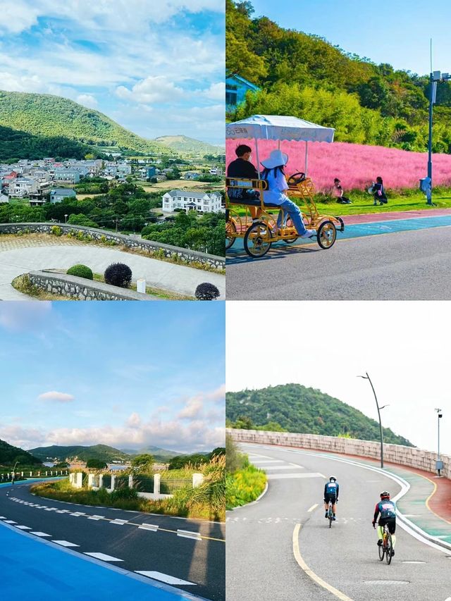 東海半邊山團建｜有山有海有花海，看海天一色