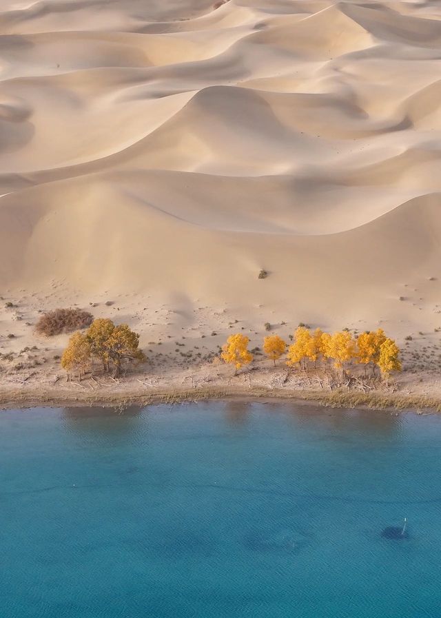 思念如沙——沙漠裡美麗的傳說！~~。