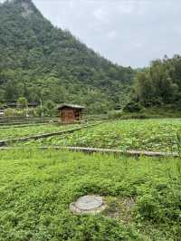 土家十三寨景區