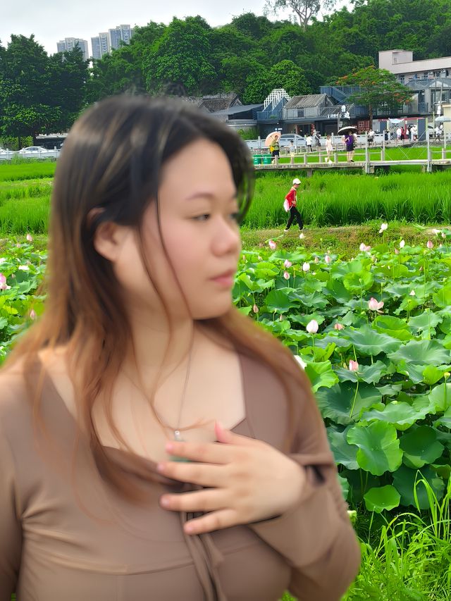中山非遺文化免費荷花欣賞陶瓷手作溯源親子行