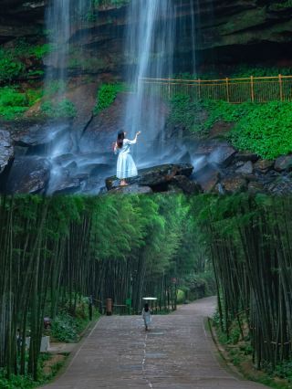 Bianjing Bamboo Sea is much more beautiful, I really regret going there late!