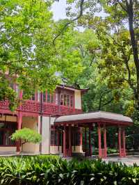 校園比公園還美，華政校園你值得擁有