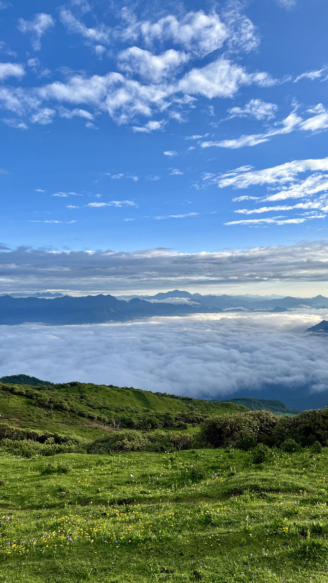 這波九頂山賺麻了