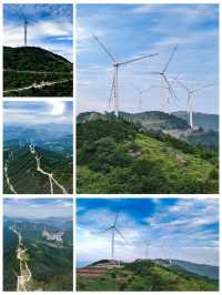 浙江磐安青梅尖，山地露營，避暑觀景好去處