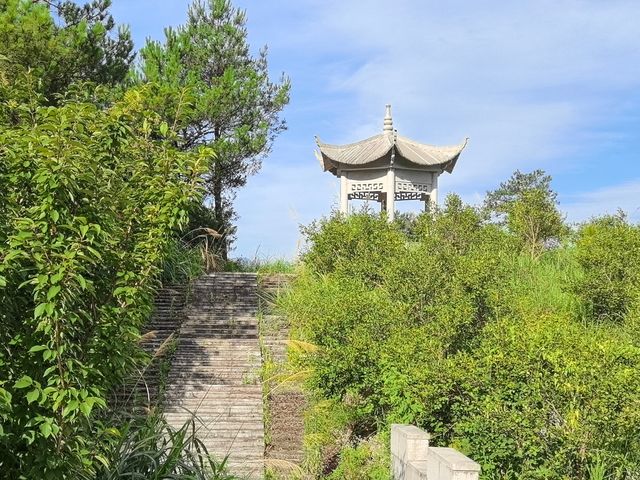 青田縣吳坑鄉尚仁村