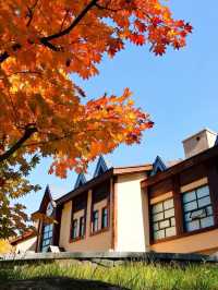 🏔️ Changbai Mountain's Cozy Retreat: Eco-Luxury & Hot Springs! 🛀