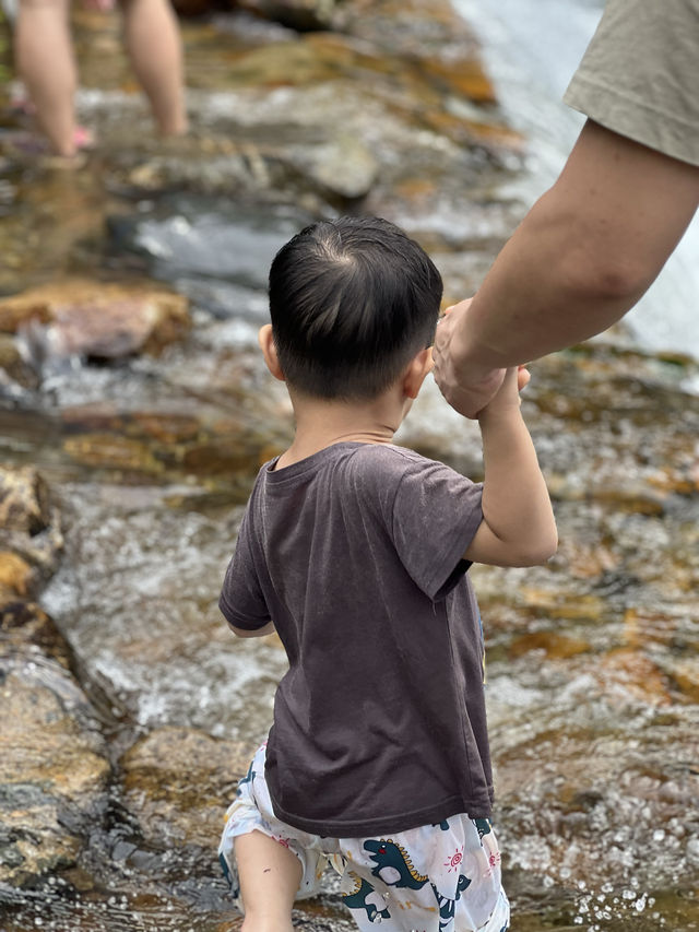 國家森林公園，一生總要來一次的地方