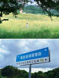 在光明找到了屬於深圳人的“阿勒泰”