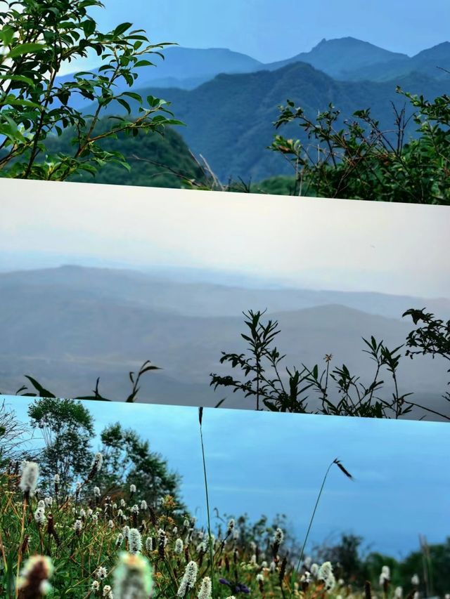 青海民和|夏天就要去浪山