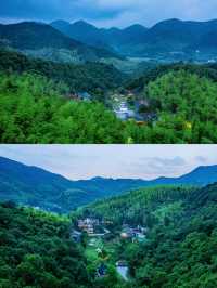 安吉｜獨享山谷在避世之所親近竹海