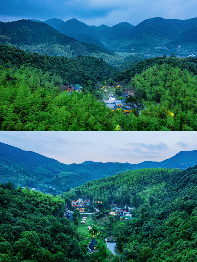 安吉｜獨享山谷在避世之所親近竹海