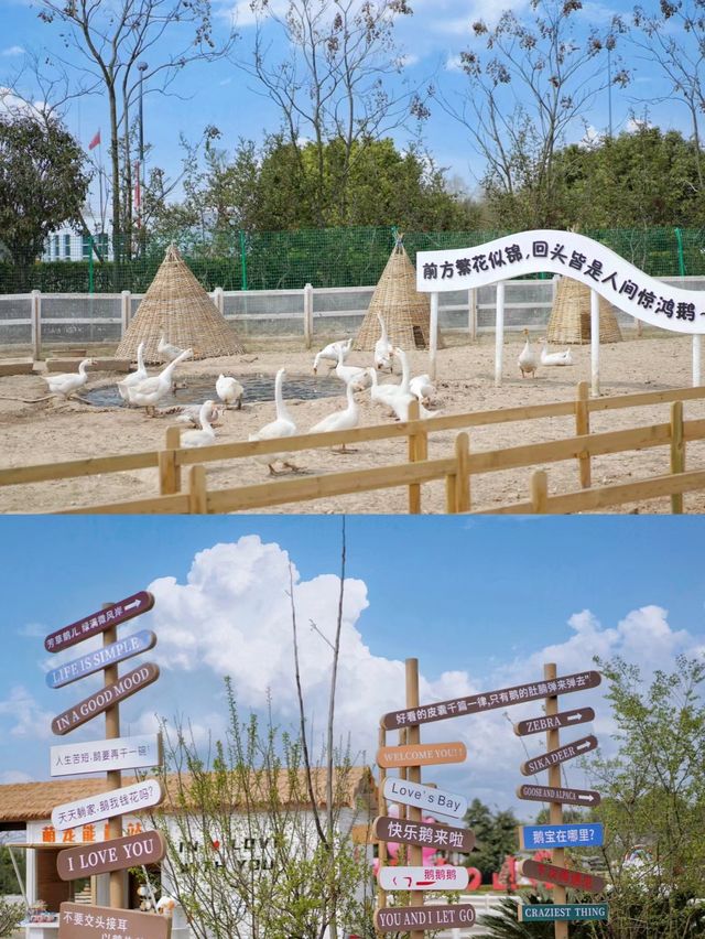 鵝的假日農場
