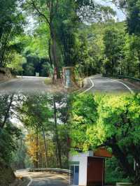 佛山三水森林公園｜免費感受天然氧吧