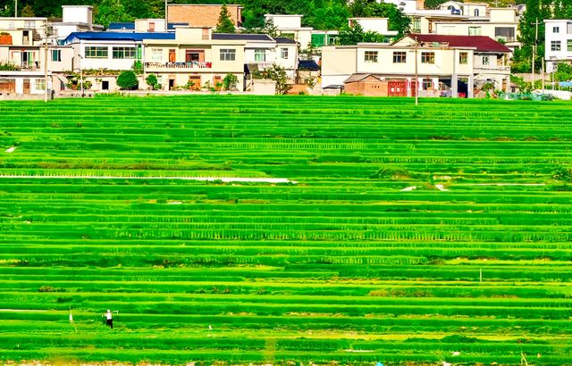 貴陽有自己的“阿勒泰”----雲頂高坡
